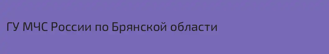 ГУ МЧС России по Брянской области